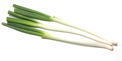 Pictured Japanese leek in a white backgorund.